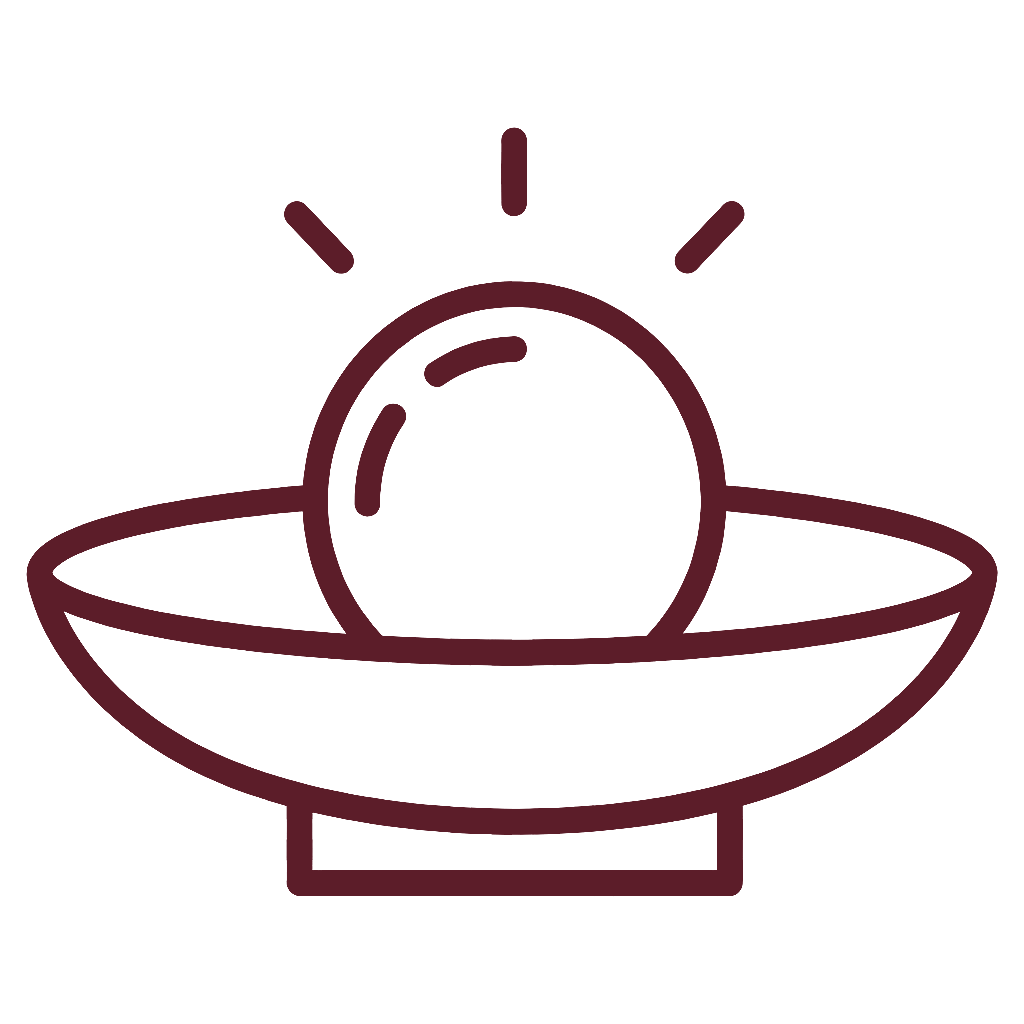 정품 정량 사향공진단 아이콘