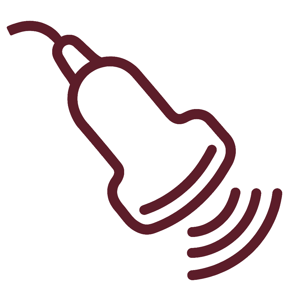 경혈초음파 약침 아이콘